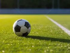 新人选拔挑,战重重,备战下一届,好博体育官方,好博体育在线官网,好博体育线上,好博体育APP