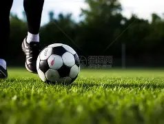 好博体育,产品,好博体育官方,好博体育官方,好博体育在线官网,好博体育线上,好博体育APP