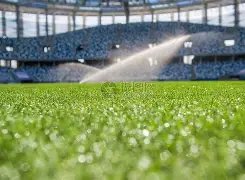 坚韧追梦的,视障柔道新,后盲人冠军,好博体育官方,好博体育在线官网,好博体育线上,好博体育APP