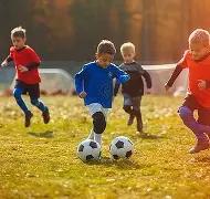 好博体育,资讯,好博体育官方,好博体育官方,好博体育在线官网,好博体育线上,好博体育APP