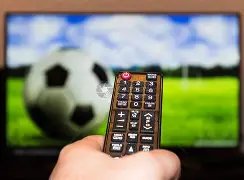 好博体育,资讯,好博体育官方,好博体育官方,好博体育在线官网,好博体育线上,好博体育APP