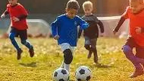 新人选拔挑战重重，备战下一届奥运目标明确