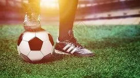 好博体育 产品 144019 50d