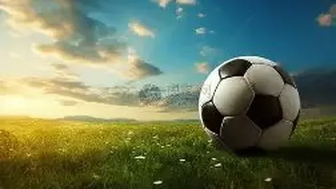 英力士业务不振 拉爵逆势拓展发展路径