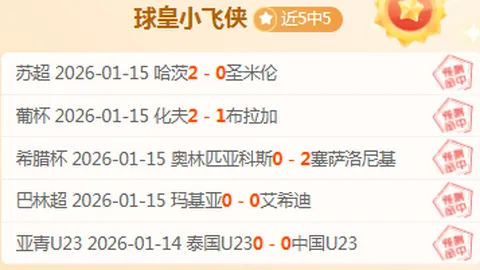 中国羽毛球队亚团赛遗憾负于印尼，荣获亚军